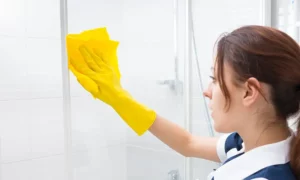 Protect your Shower Screen
